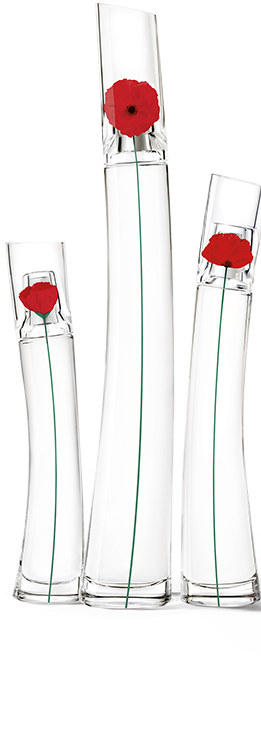 FBK_Desktop_EDP_bouquetv2